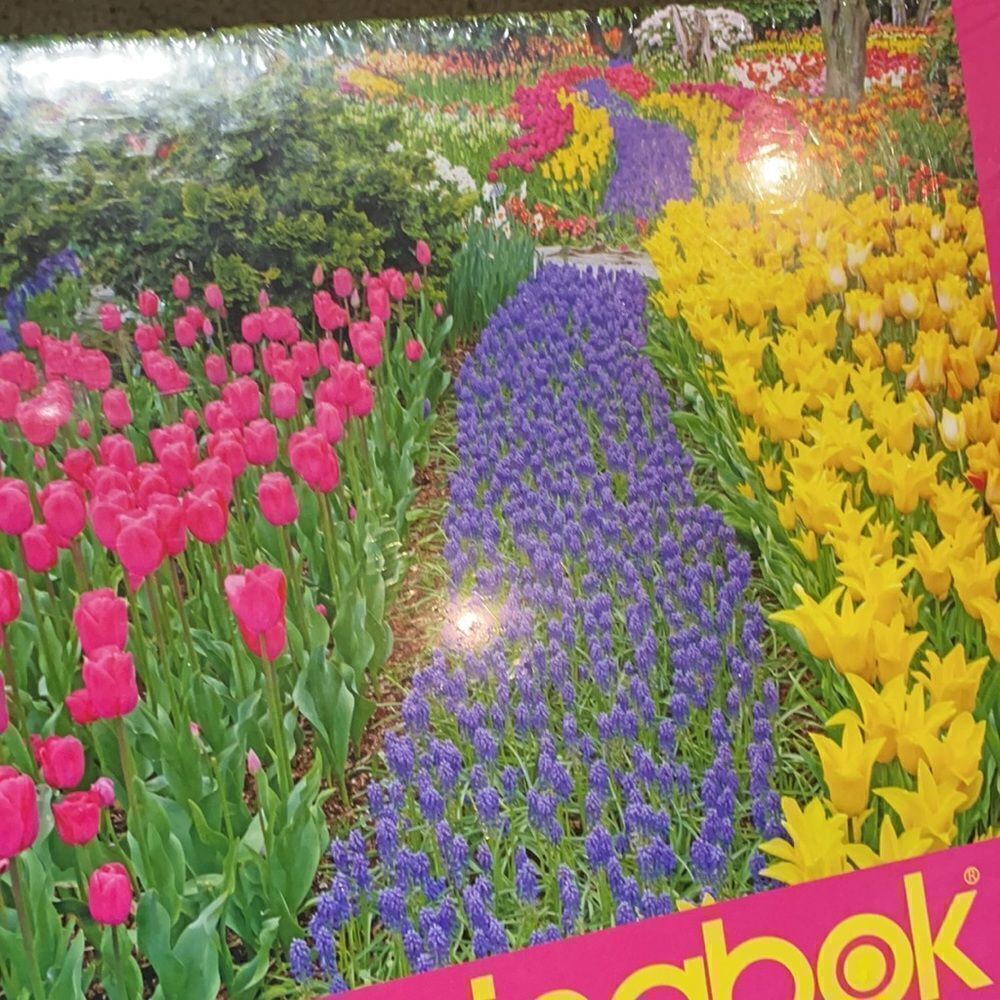 Springbok 500 pc Puzzle NIB Trail of Blooms - Picture 3 of 3